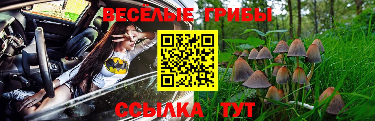 Галлюциногенные грибы Magic Shrooms Краснодар