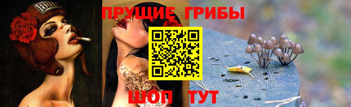 Галлюциногенные грибы прущие грибы  Вход с VPN  Краснодар  Галлюциногенные грибы прущие грибы 